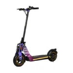 Trottinette électrique Bison 800W